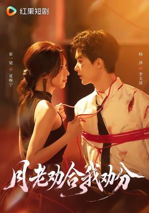 《月老劝合我劝分(69集)杨泽&崔一梁(1080P)(夸克网盘)》短剧封面
