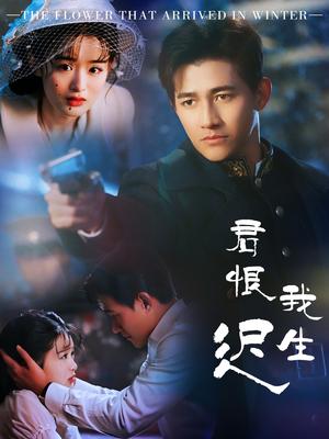 《君恨我生迟&司令府就是我的家(60集)李子锋&李紫一(夸克网盘)》短剧封面