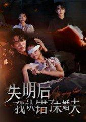 《失明后我认错了未婚夫(34集)姜彬彬&杨宇轩》短剧封面