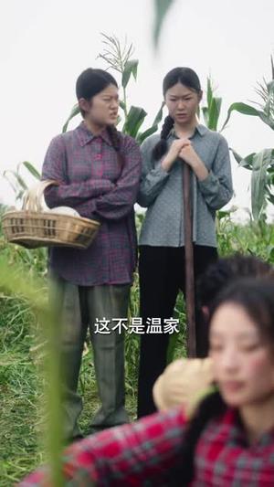 《陆太太是来离婚的之慵便枕玉凉(70集)李子杰&韩佳卉(1080P)(夸克网盘)》短剧封面