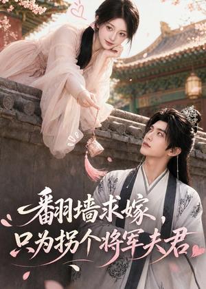《翻墙求嫁,只为拐个将军夫君(50集)(夸克网盘)》短剧封面