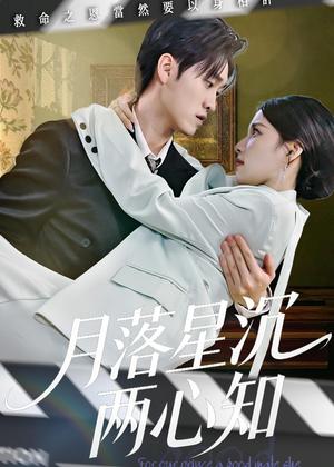 《月落星沉两心知(40集)安彤&舒金铸(夸克网盘)》短剧封面