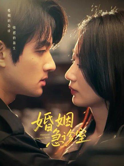 《婚姻急诊室(20集)赵子麒&林子煊》短剧封面