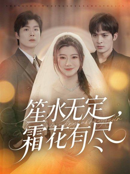 《笙水无定,霜花有尽》短剧封面