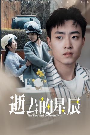 《逝去的星辰（31集）李海蒂（夸克网盘）》短剧封面