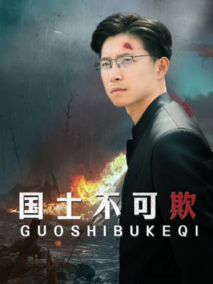 《国士不可欺(79集)(夸克网盘)》短剧封面