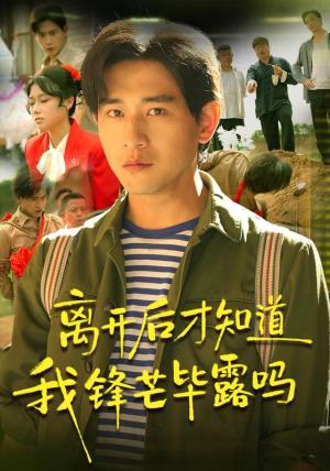 《离开后才知道我锋芒毕露吗（87集）张恩浩＆曹莞桐＆韦坚＆张沐晗（1080P）（夸克网盘）》短剧封面