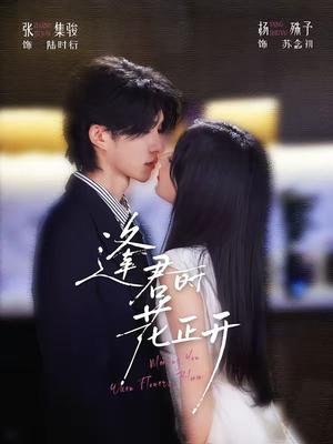 《逢君时花正开(72集)张集骏&杨殊予(1080P)(夸克网盘)》短剧封面