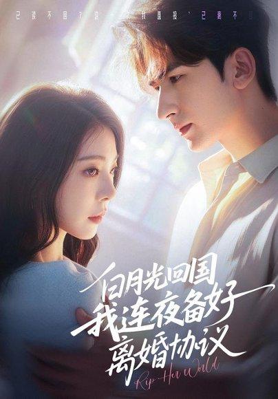 《白月光回国我连夜备好离婚协议(80集)冯熙尧&斯坎(1080P)(百度网盘)》短剧封面