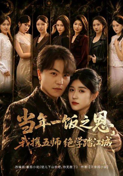《当年一饭之恩,我携五师绝学踏江城(79集)苏宇&丸子(百度网盘)》短剧封面