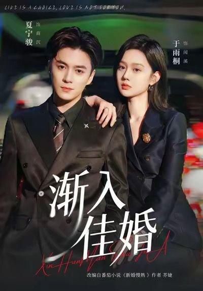 《渐入佳婚(112集)夏宁骏&于雨桐》短剧封面