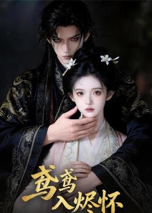 《鸢鸢入烬怀（15集）（夸克网盘）》短剧封面