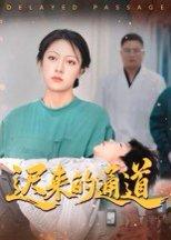 《迟来的通道》短剧封面