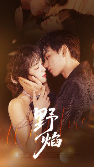 《野焰 未删减版(60集)陈政阳&郑千亦(夸克网盘)》短剧封面
