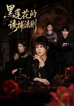 《黑莲花的诱捕法则(70集)娄宇瑶&刘轩&张轩&林雨桐(1080P)(夸克网盘)》短剧封面