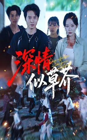 《深情似草芥（51集）源鑫&王瀚迎（夸克网盘）》短剧封面