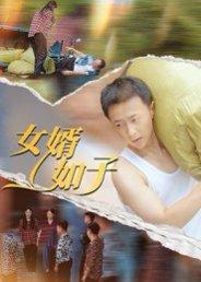 《女婿如子（40集）》短剧封面