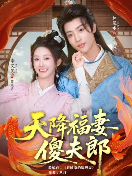 《天降福妻傻夫郎（85集）林昱希&李艾笑》短剧封面