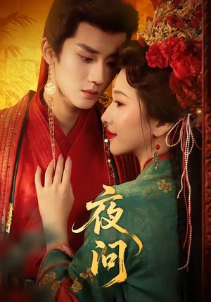《夜问（60集）毕宸睿＆佟羲语（夸克网盘）》短剧封面