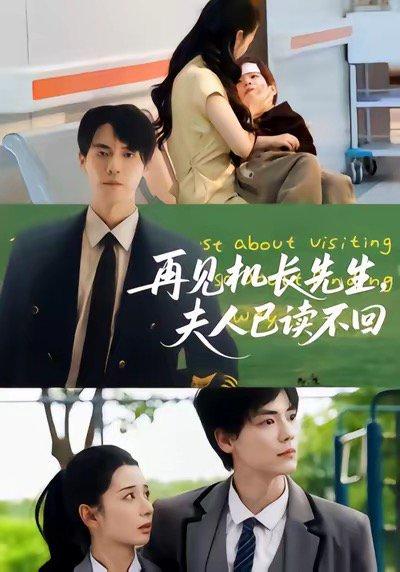 《再见机长先生夫人已读不回》短剧封面