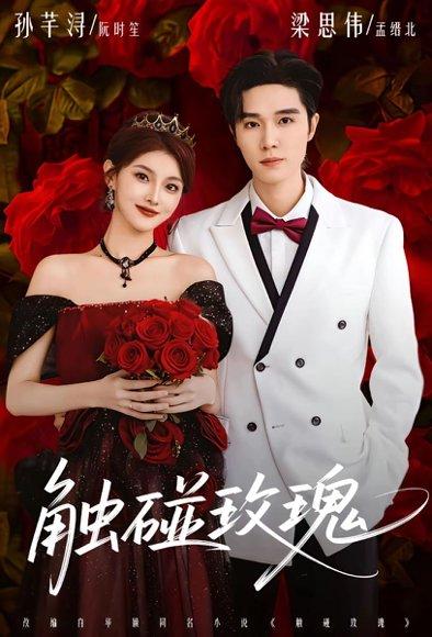 《触碰玫瑰(80集)梁思伟&孙芊浔》短剧封面