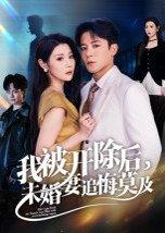 《我被开除后,未婚妻追悔莫及(63集)丁敬一(百度网盘)》短剧封面