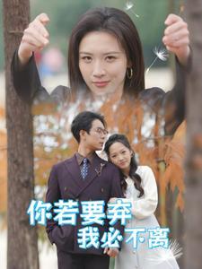 《你若要弃我必不离&绝望主妇怒点天灯(30集)(夸克网盘)》短剧封面