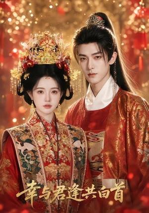 《幸与君逢共白首(79集)(夸克网盘)》短剧封面