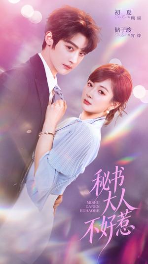 《秘书大人不好惹(62集)储子竣&初夏(夸克网盘)》短剧封面