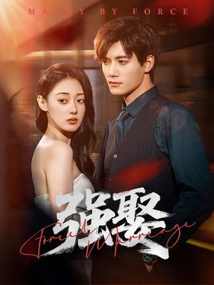 《强娶(80集)郑文岩&汤震(夸克网盘)》短剧封面