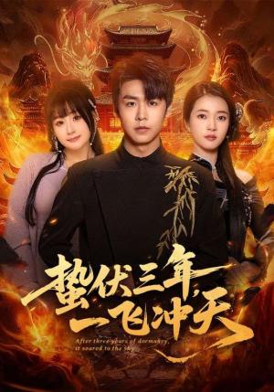 《蛰伏三年,一飞冲天(60集)孔德瑞&刘浔(夸克网盘)》短剧封面