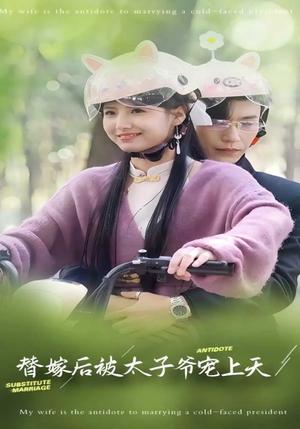 《替嫁后被太子爷宠上天(80集)王槿&沉思(夸克网盘)》短剧封面