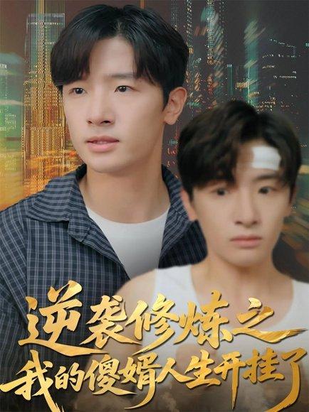 《逆袭修炼之我的傻婿人生开挂了(65集)》短剧封面