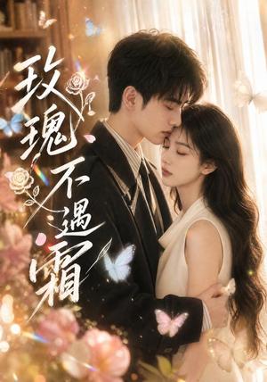 《玫瑰不遇霜(42集)(夸克网盘)》短剧封面