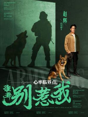 《心率临界点谁都别惹我(96集)晁轩&杨晴&王佳琪(夸克网盘)》短剧封面