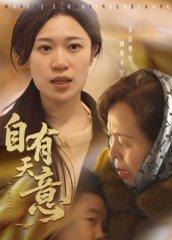 《自有天意（35集）》短剧封面