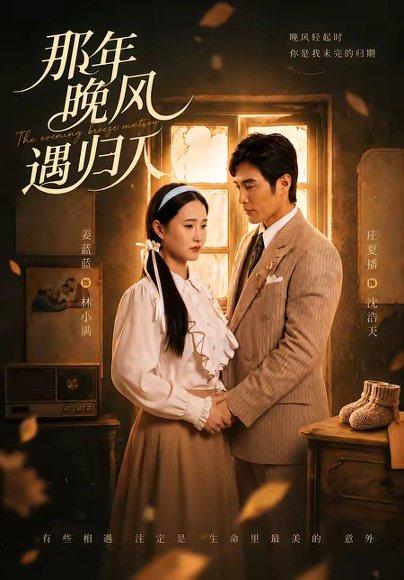 《那年晚风遇归人（66集）庄夏播＆姜蓝蓝（百度网盘）》短剧封面