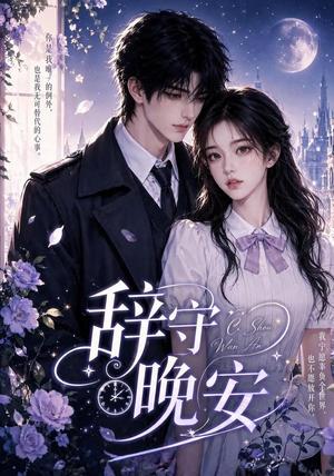 《辞守晚安(45集)(夸克网盘)》短剧封面