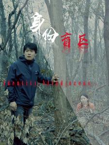 《身份盲区（12集）（夸克网盘）》短剧封面
