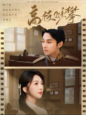 《高枝难攀（80集）张屹杨＆丁果（夸克网盘）》短剧封面