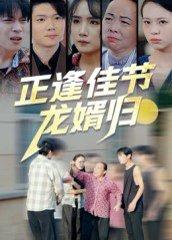 《正逢佳节龙婿归》短剧封面