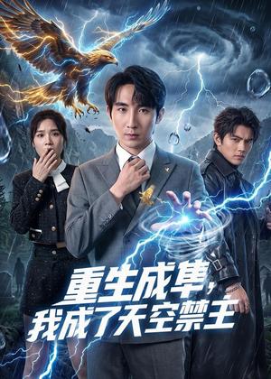 《重生成隼，我成了天空禁主（68集）刘飞＆思雨（夸克网盘）》短剧封面