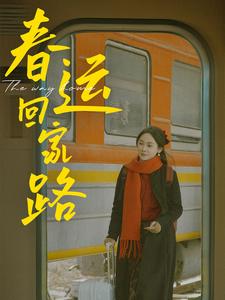 《春运回家路（32集）（夸克网盘）》短剧封面