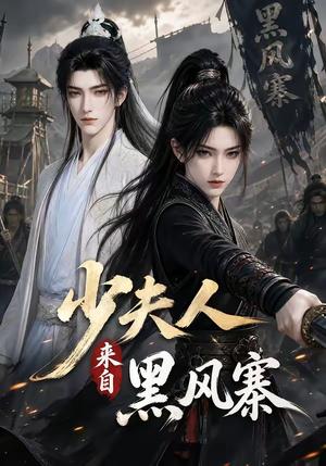 《少夫人来自黑风寨(41集)(夸克网盘)》短剧封面