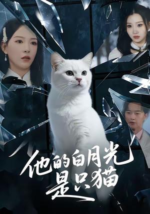 《他的白月光是只猫（69集）陈家豪＆葛晓希（夸克网盘）》短剧封面