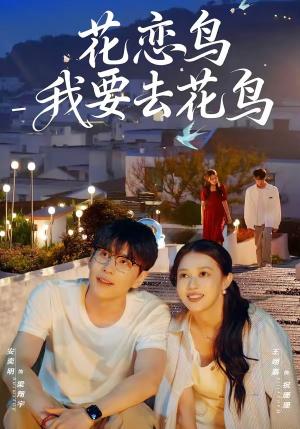 《花恋鸟我要去花鸟（60集）安奕明＆王翊嘉（夸克网盘）》短剧封面