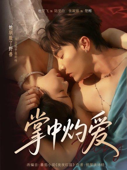 《掌中灼爱（62集）杜亚飞＆张凝慈》短剧封面