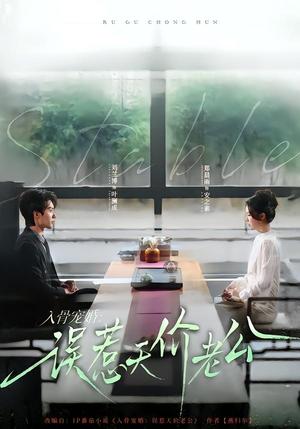 《入骨宠婚：误惹天价老公（79集）刘兰博＆郑晨雨（夸克网盘）》短剧封面