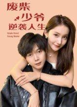 《废柴少爷的逆袭人生》短剧封面