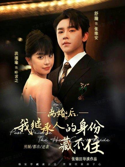 《离婚后,我继承人的身份藏不住(80集)舒瀚&洪瑾瑜》短剧封面